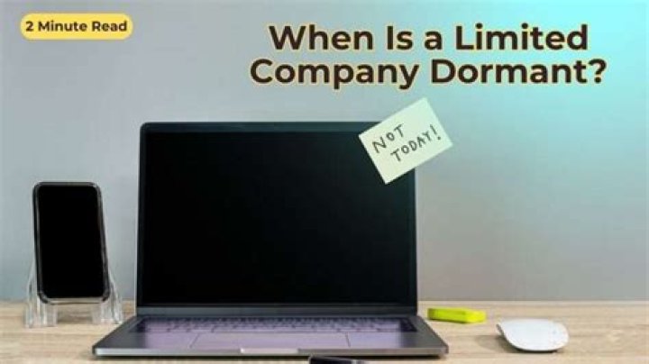 How long can limited company be dormant?
