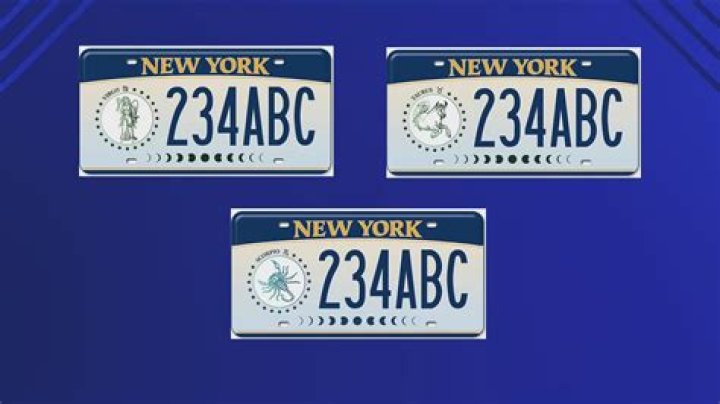 How long do you have to turn in your license plates NY?