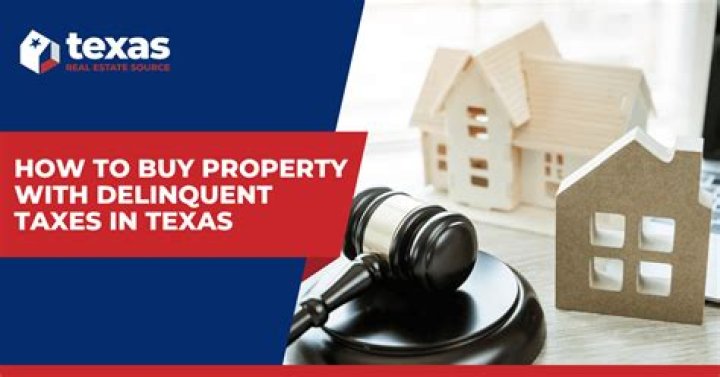 How long does a property owner have to redeem their home that was sold through a tax sale in South Carolina by paying off the delinquent tax amounts and penalties?