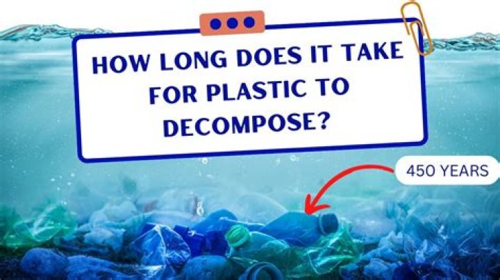 How long does it take for a cat to pass plastic?