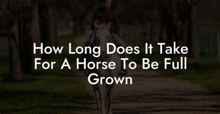 How long does it take for a horse to get used to a new home?