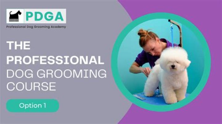 How long does it take to complete a dog grooming course?
