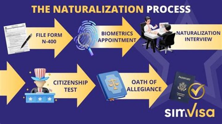 How long does the Dutch naturalization process take?