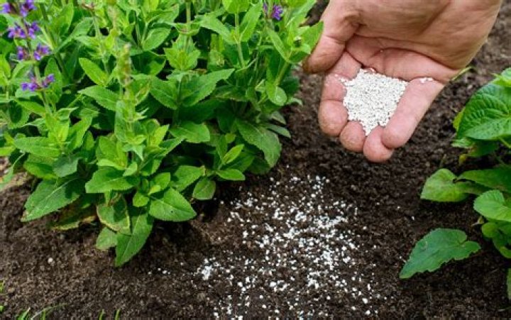 How long is fertilizer good for?