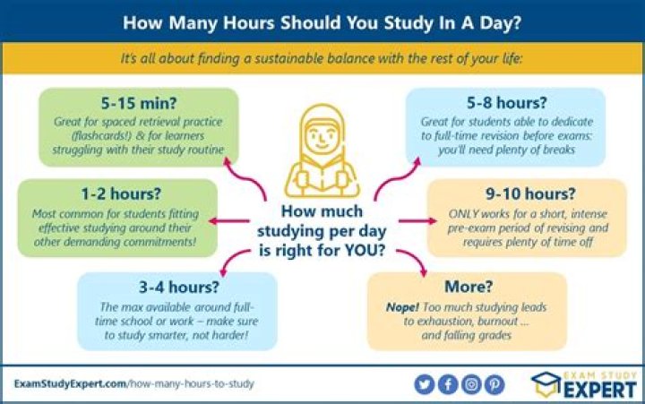 How many hours can you study a language a day?