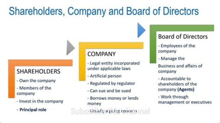 How many shareholders can appoint directors?