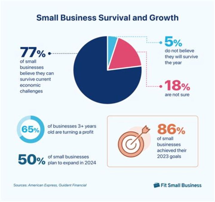 How many small businesses turn a profit?