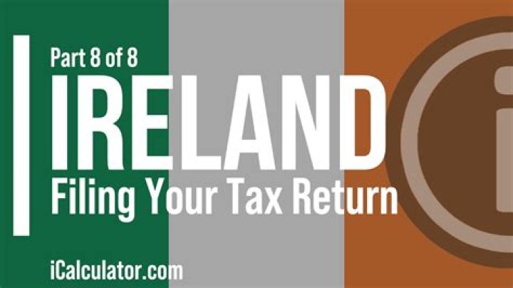 How many years can revenue Ireland go back?