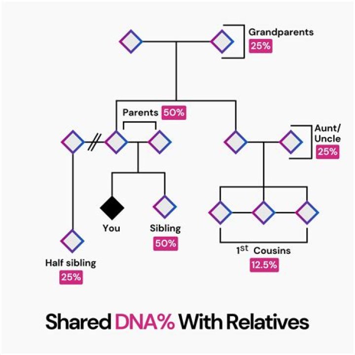 How much DNA do you share with great uncle?