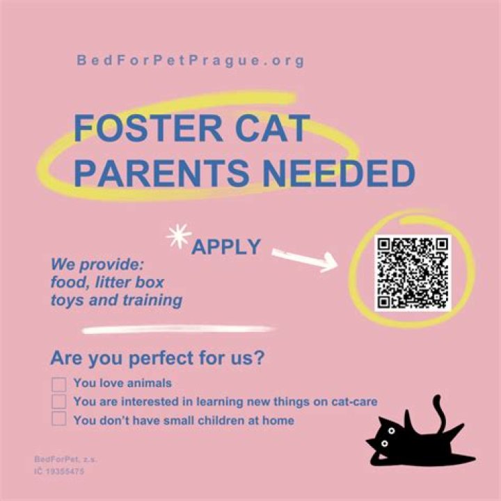 How much do you get paid to foster a cat?