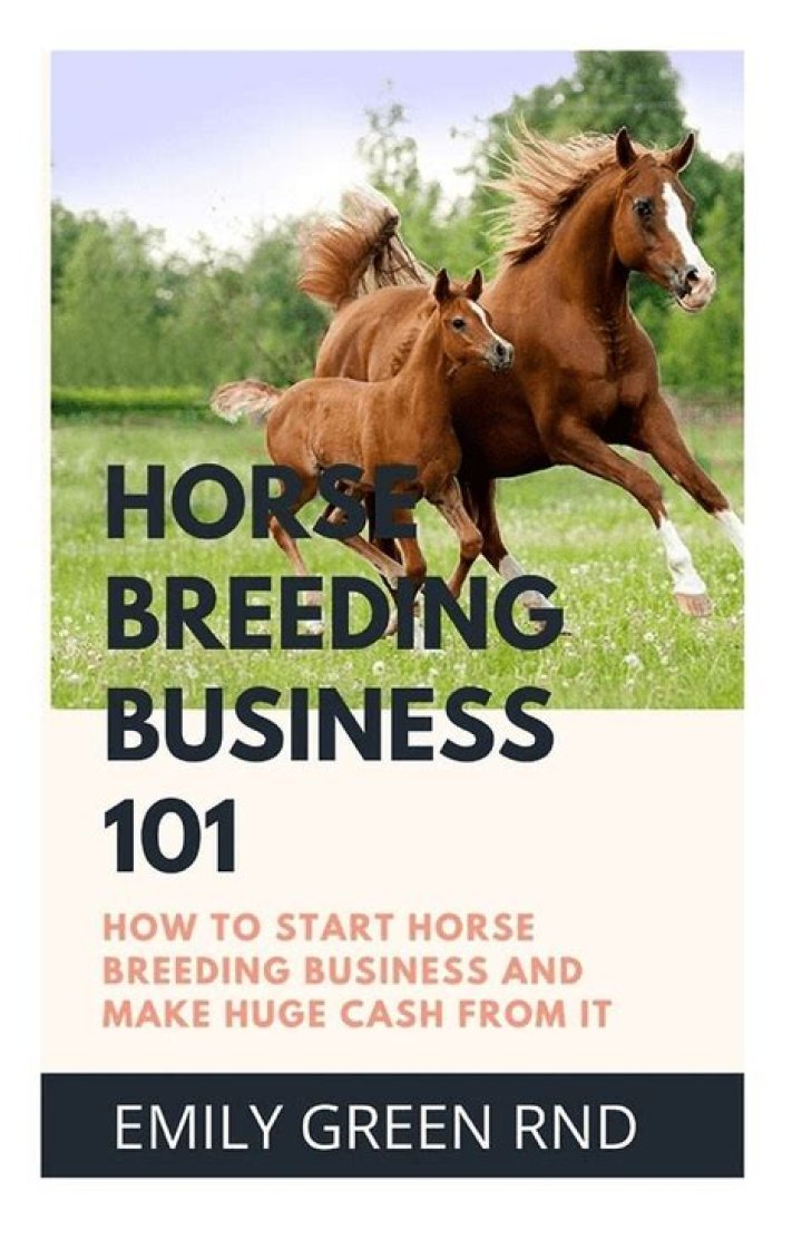 How much does it cost to start a horse business?