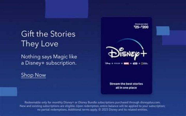 How much is a 1 year Disney Plus subscription?
