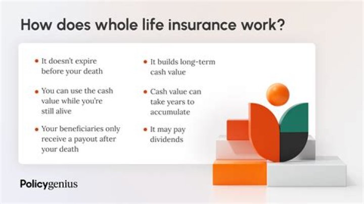 How much is a life insurance policy for a 23 year old?
