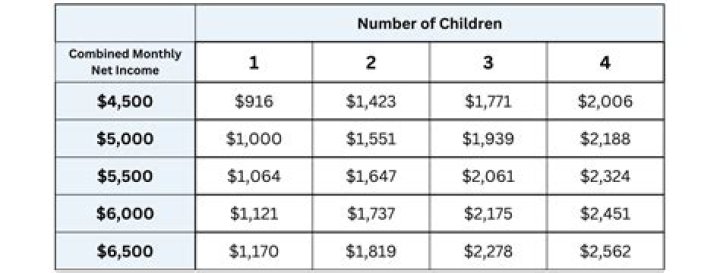 How much is child support in the Netherlands?