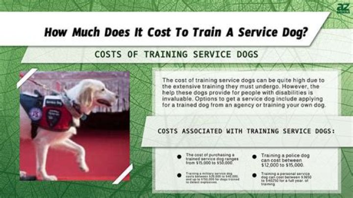 How much would it cost to train a service dog?
