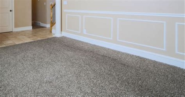 How often Apartment carpets should be changed?