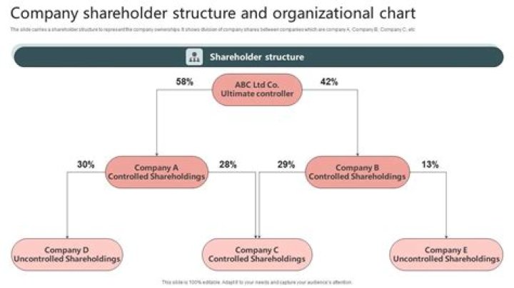 How old can a company shareholder be?