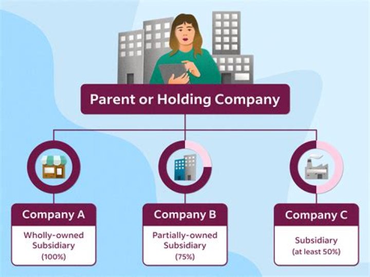 Is a business in which a parent company owns 100% of the stock?