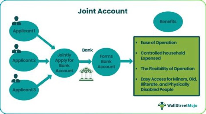 Is a joint account considered income?