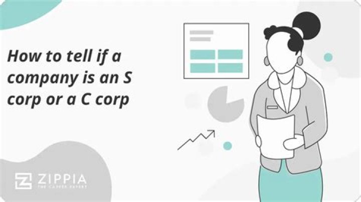 Is a professional corporation an S Corp or C Corp?