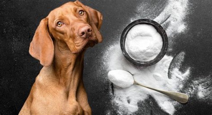 Is baking soda toxic?