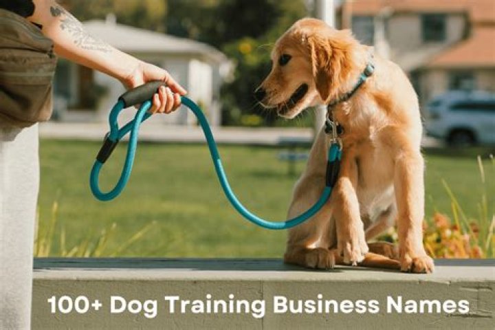 Is dog training business profitable?