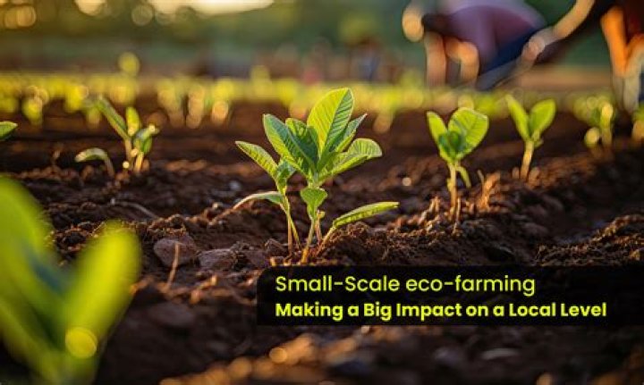 Is land used in farming a capital asset?