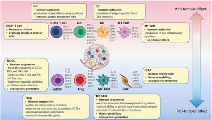 Is NOKK immune to melusi?