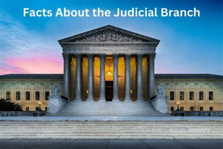 Is the IRS part of the judicial branch?