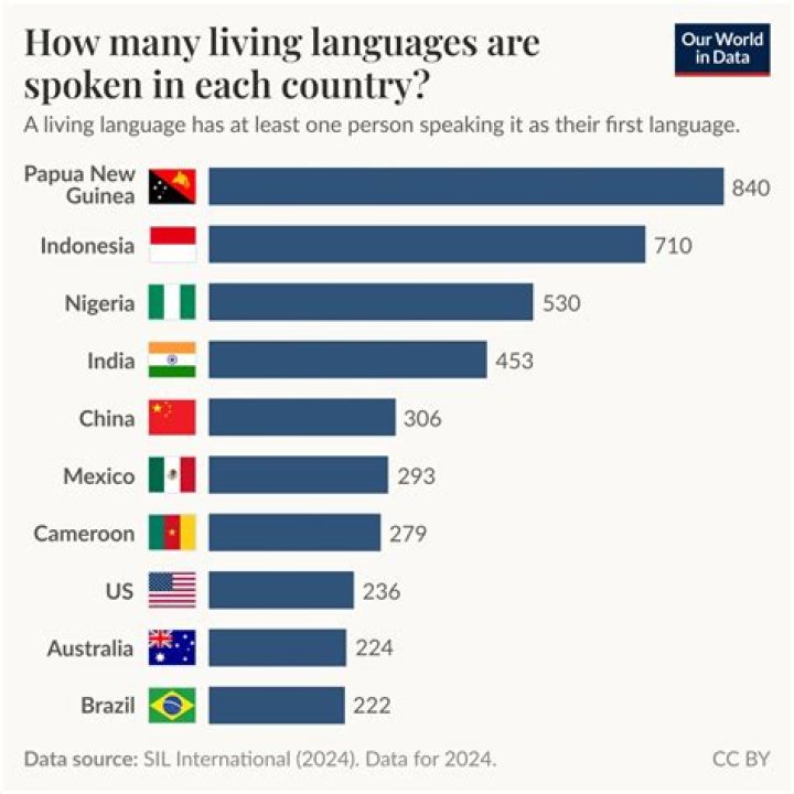 Is there a person who speaks all languages?