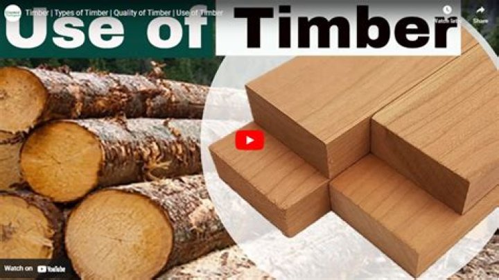 Is timber included in mineral rights?