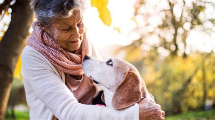 Should I have an annuity in my portfolio?