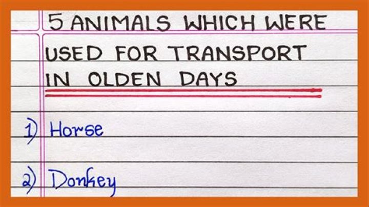 Was there Internet in the olden days?