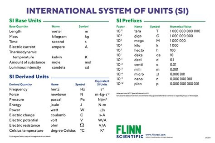 What are common units in a company?