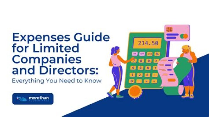 What are directors expenses?