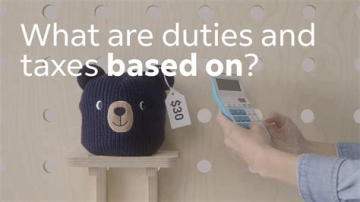 What are duties and taxes?