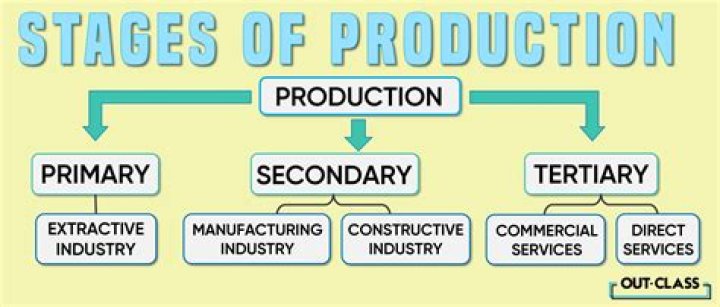 What are examples of primary production?