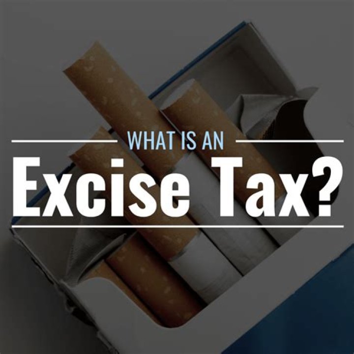 What are excise taxes also called?