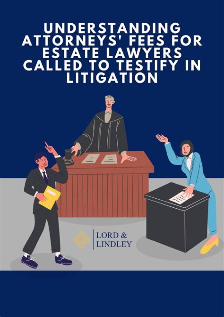 What are lawyers often called?