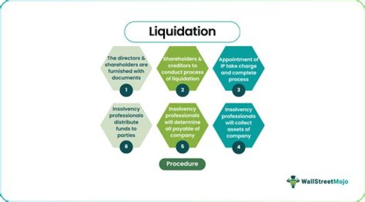 What are liquidation proceeds?