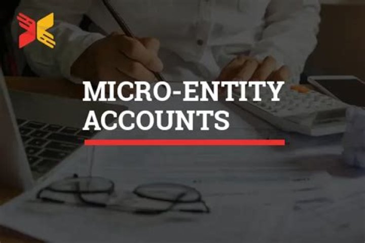 What are Microentity accounts?