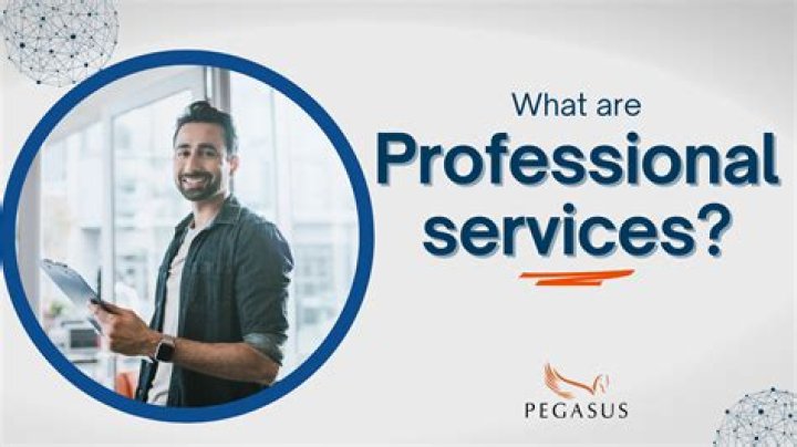 What are professional services in technology?