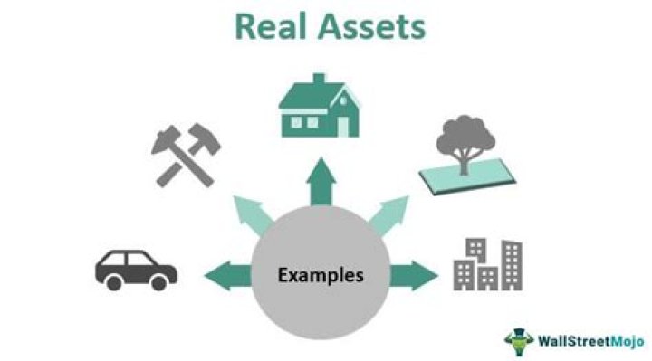 What are real and financial assets?