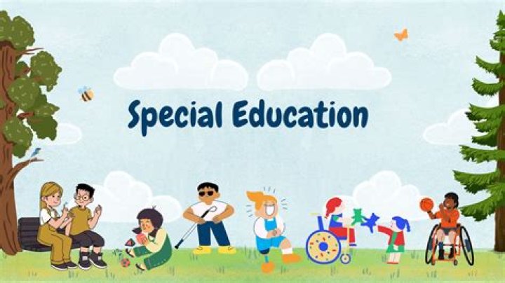 What are special education programs?
