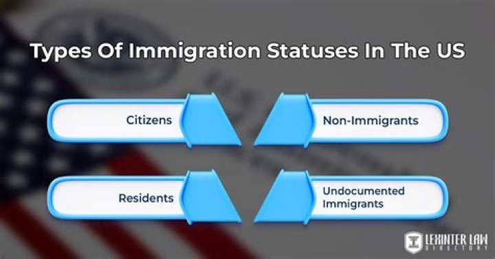 What are the 4 types of immigration status?