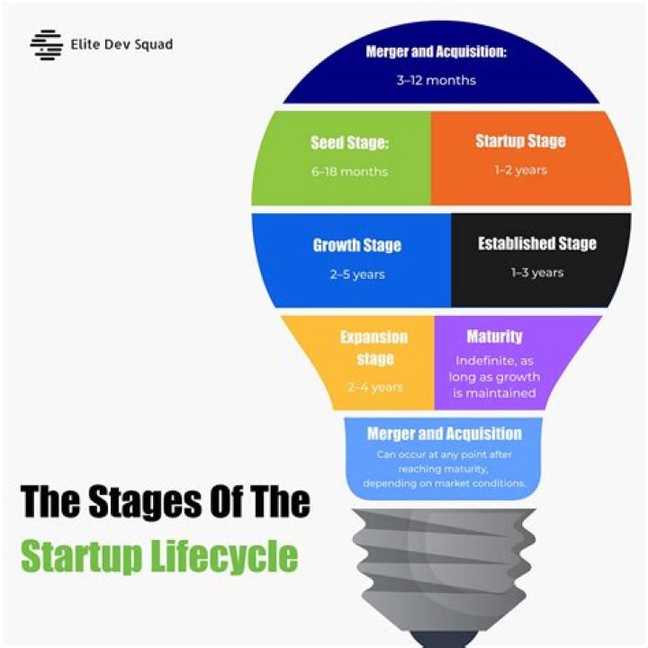 What are the 5 steps of start up life cycle?