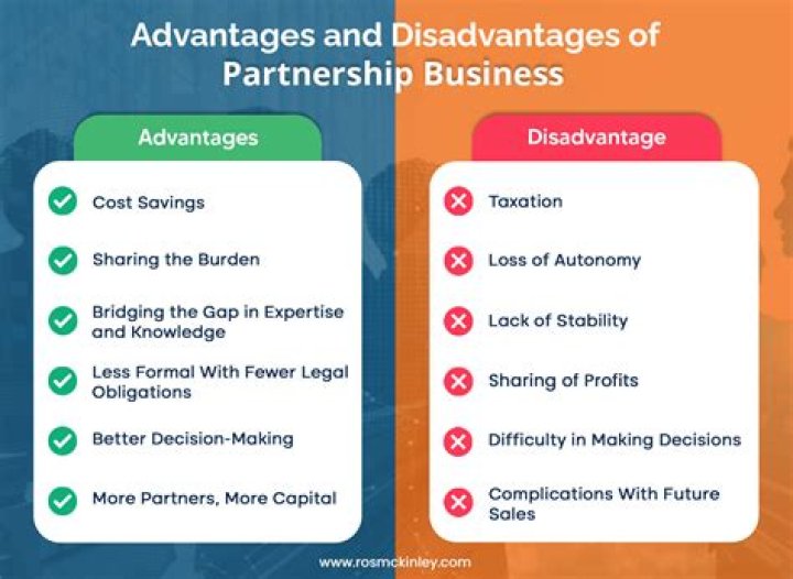 What are the advantages and disadvantages of family businesses?