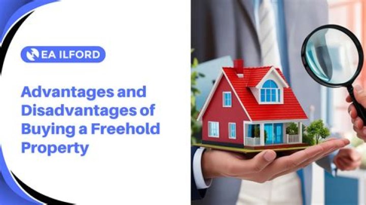 What are the disadvantages of buying a freehold property?
