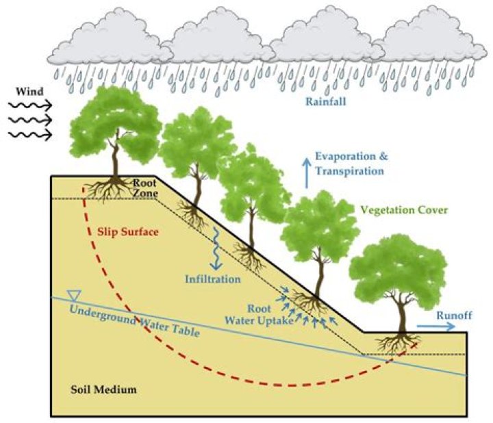 What are the factors responsible for land landslide?