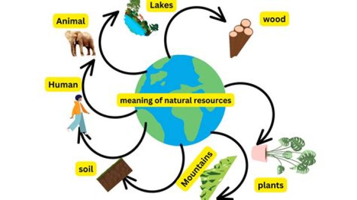 What are the land resources?